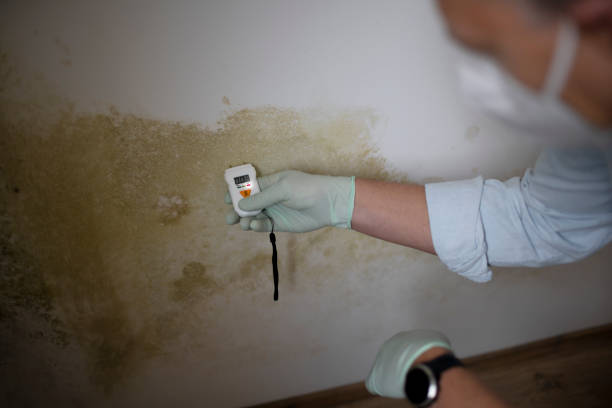 Best Residential Mold Removal  in Crystal Lakes, OH