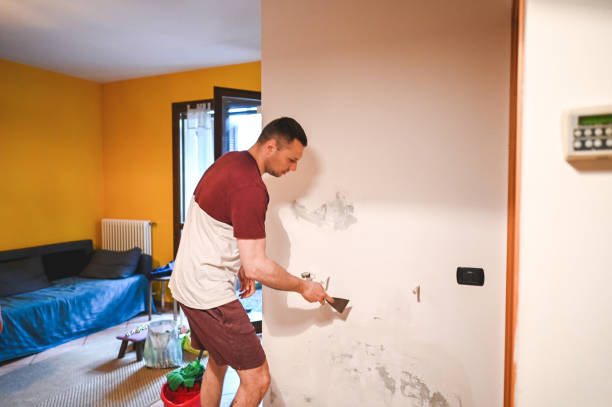 Best Mold Removal Process  in Crystal Lakes, OH